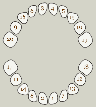 wann welcher Zahn kam